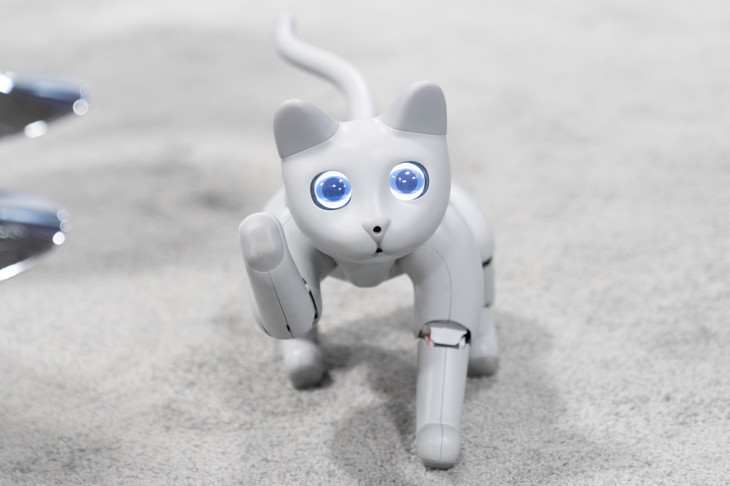 A Chinese company has created a robot cat
