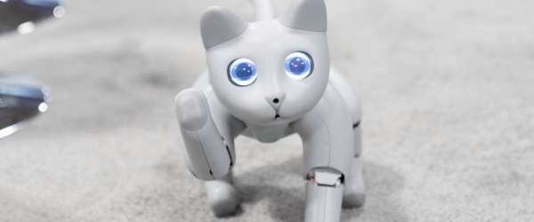 A Chinese company has created a robot cat